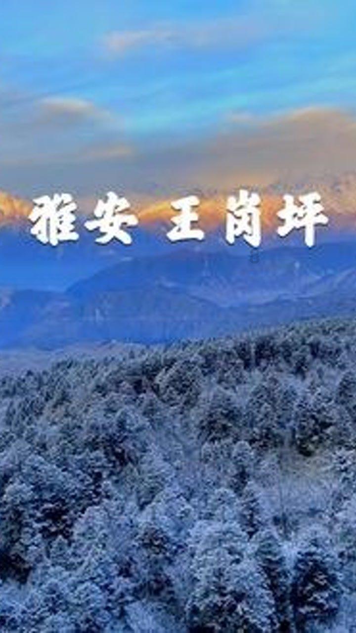 同一部手机一个无法接通一个关机怎么回事?-机智问答网页,聪明解惑,即问即得!
